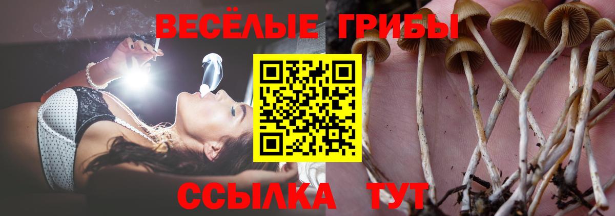 Еманжелинск  Галлюциногенные грибы Cubensis  Вход с VPN 